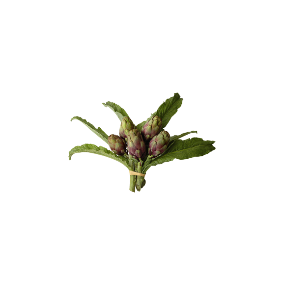 Artichaut bouquet