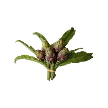Artichaut bouquet