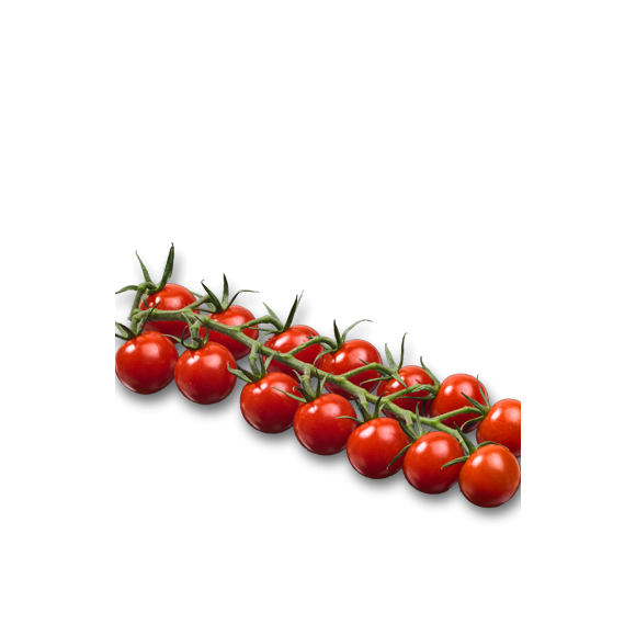 Tomate cerise