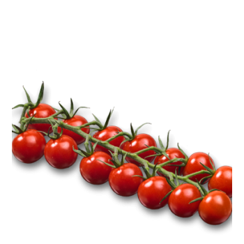 Tomate cerise