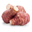 Topinambour