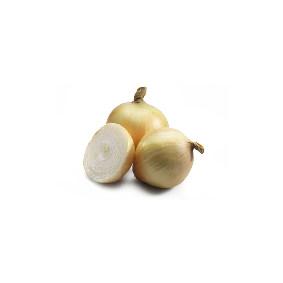 Oignon blanc
