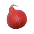 Courge potimarron