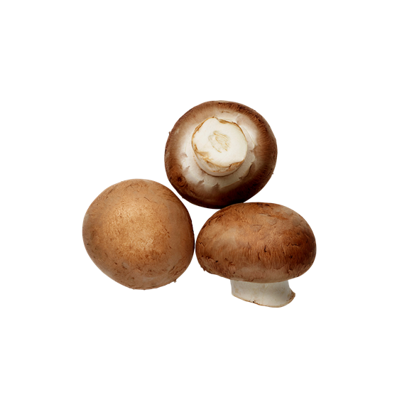 Champignons de paris brun