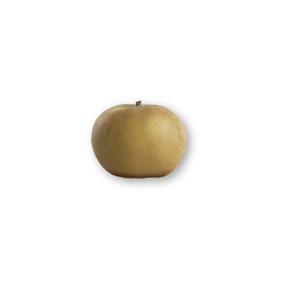 Pomme Canada gris