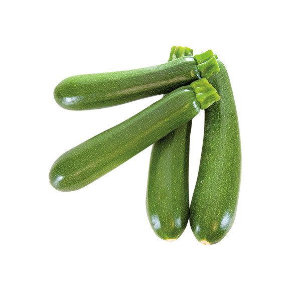 Courgette verte