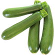 Courgette verte