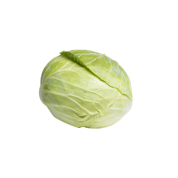 Chou blanc
