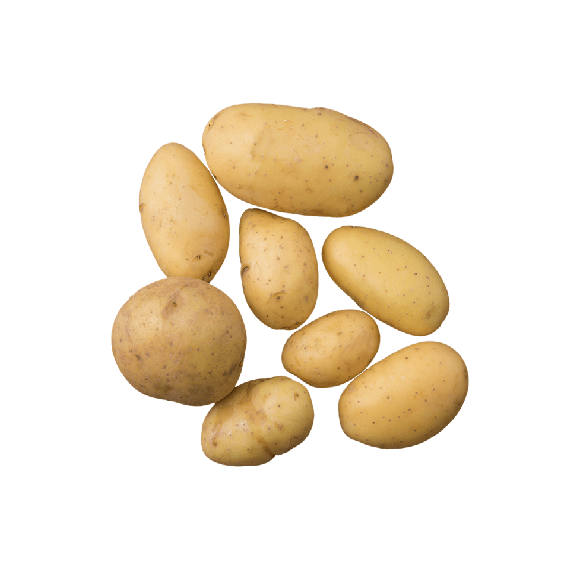 Pomme de terre grenaille