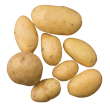 Pomme de terre grenaille