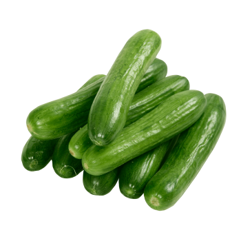 Concombre long