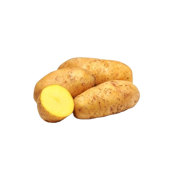 Pomme de terre Mona Lisa