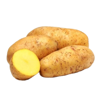 Pomme de terre Mona Lisa