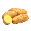 Pomme de terre Mona Lisa