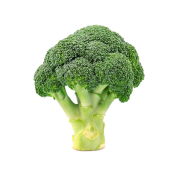 Chou brocoli