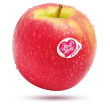 Pomme Pink lady