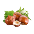 Noisette