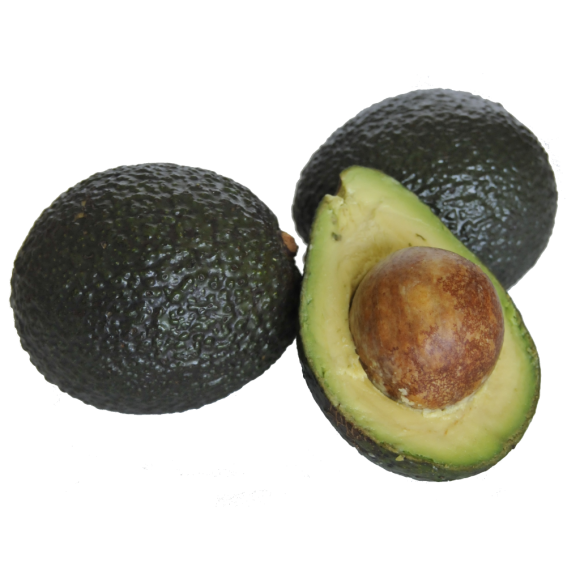 Avocat