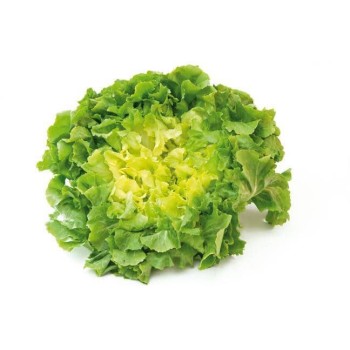 La salade scarole
