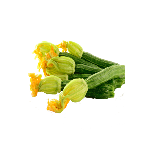 Courgette fleur