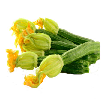 Courgette fleur