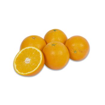 Orange à jus Maltaise petite