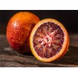 Orange sanguine