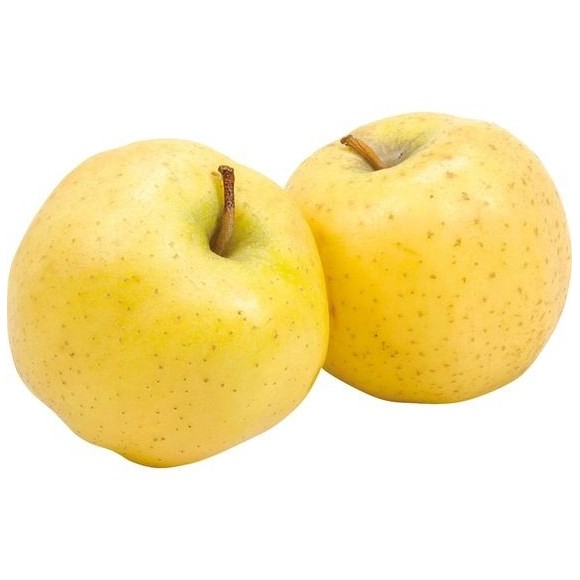 Pomme Chantecler