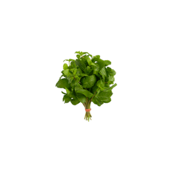Menthe
