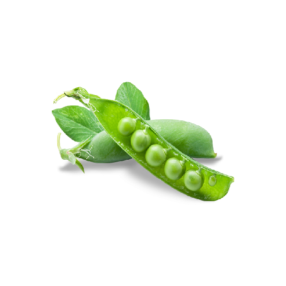 Petit pois