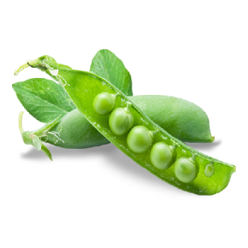 Petit pois