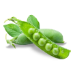 Petit pois