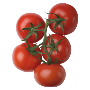 Tomates grappes