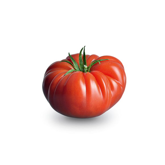 Tomate rébellion
