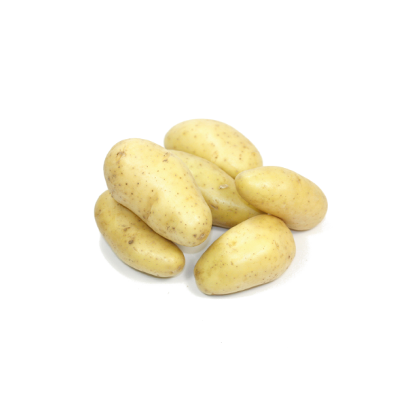 Pomme de terre Celtianne