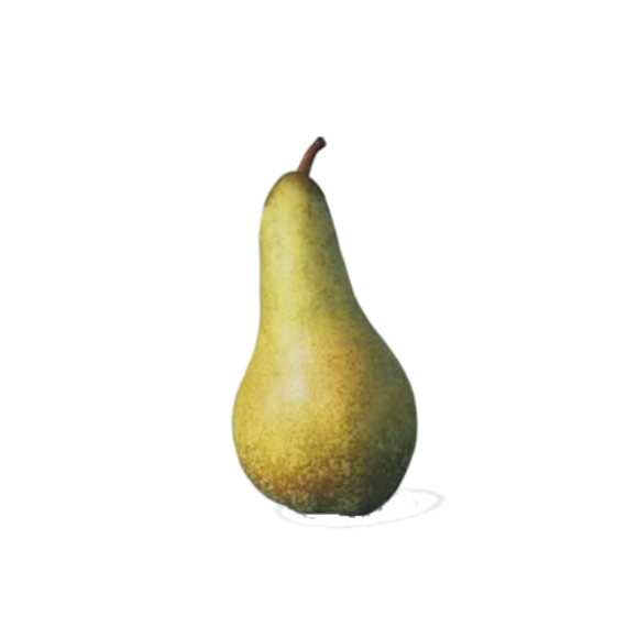 Poire Abatte