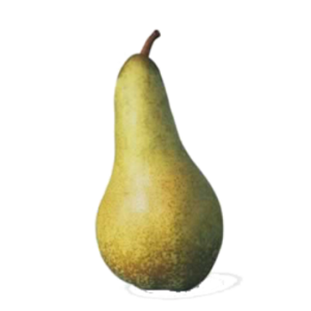 Poire Abatte