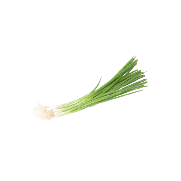 Cebette
