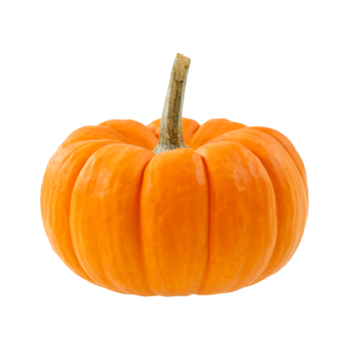 Courge potiron