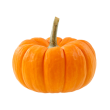 Courge potiron