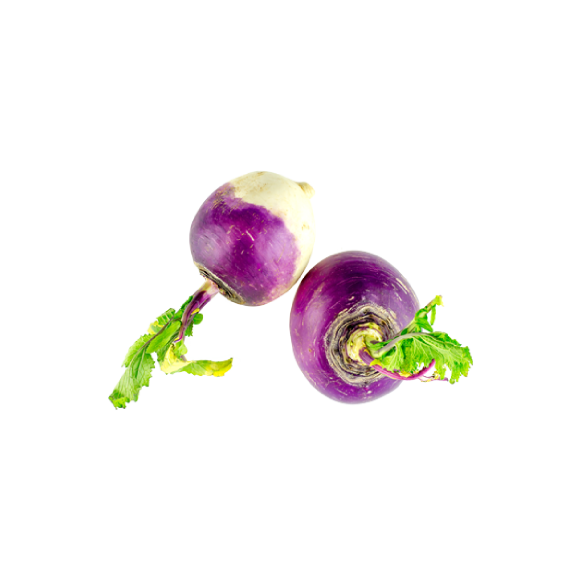 Navet violet