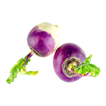 Navet violet