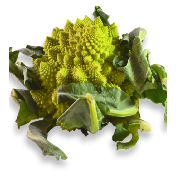Chou romanesco