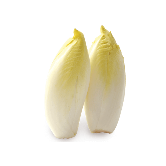 Endive