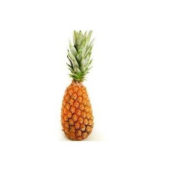 Ananas bouteille