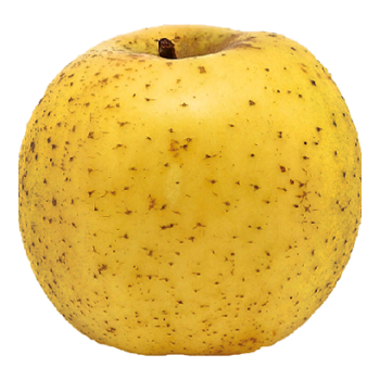Pomme Chantecler
