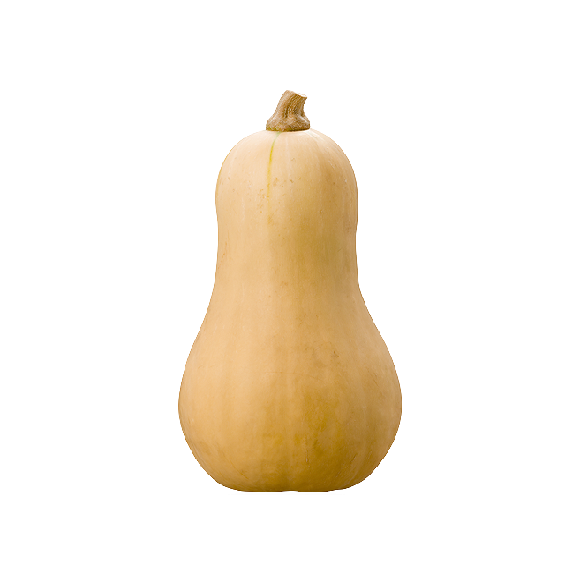 Courge butternut