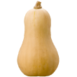 Courge butternut