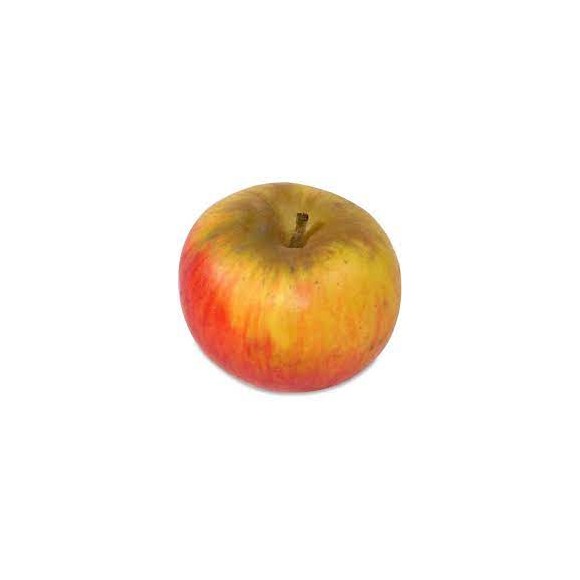 Pomme Reines de Reinettes