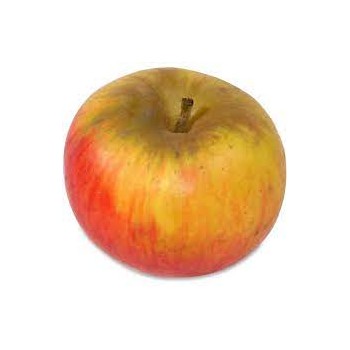 Pomme Reines de Reinettes